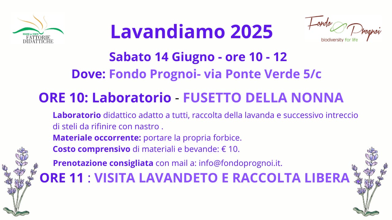 min Prodotti Natale