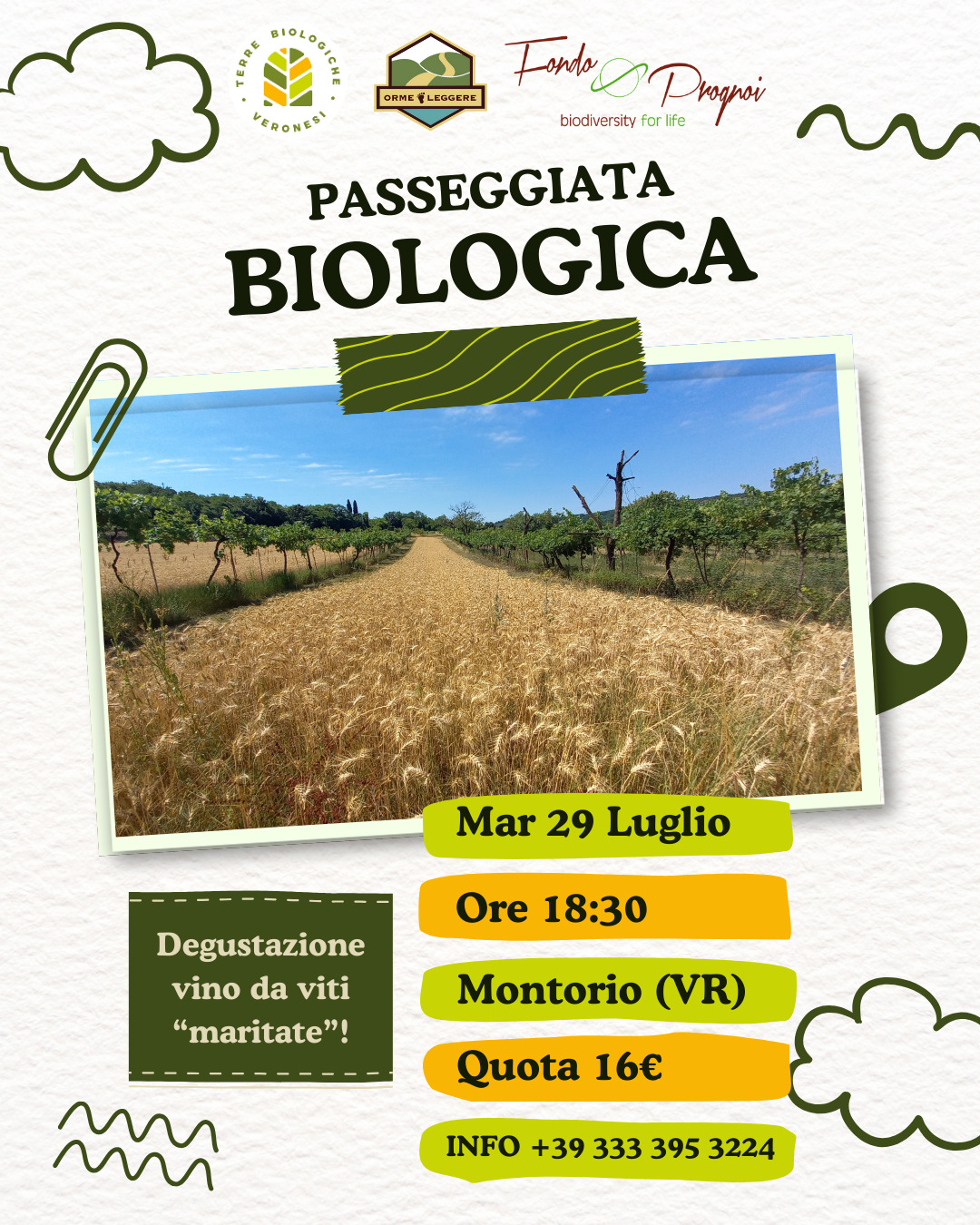 composizione page 0001