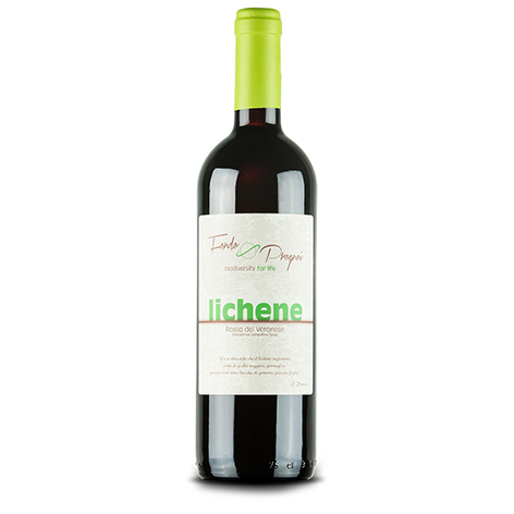 vino lichene